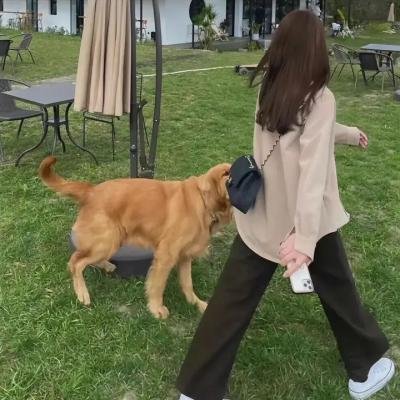 母亲！